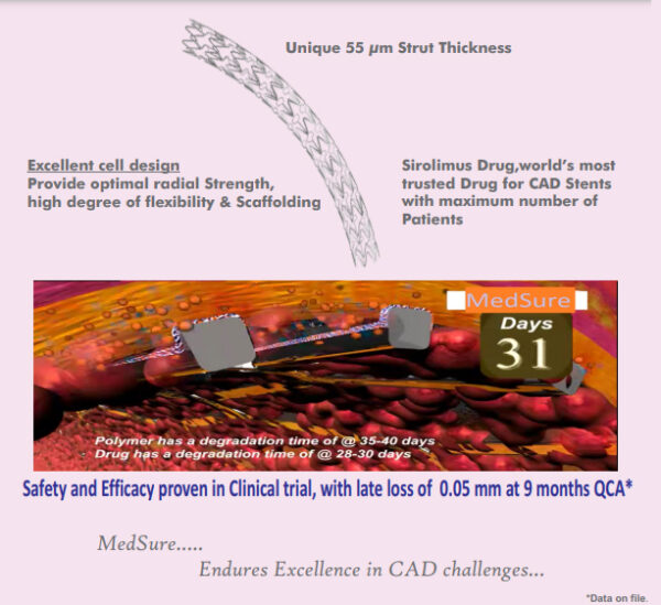 cardiac-stents-sirolimus-frisch-medical-devices-pvt-ltd